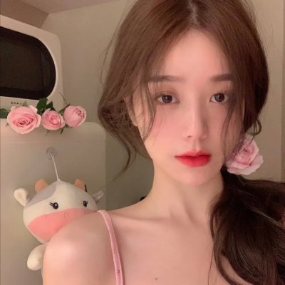 罗伯特·唐尼：自成一格